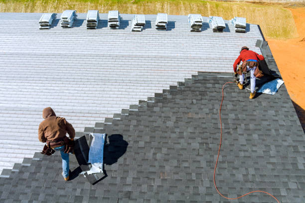 Roof Gutter Cleaning in Punta Rassa, FL